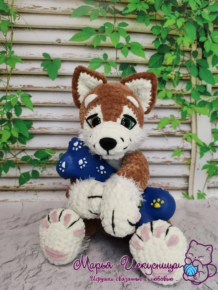 The most obedient husky - Barnaul, Knitting, Crochet, Knitted toys, Dog, Husky, Longpost