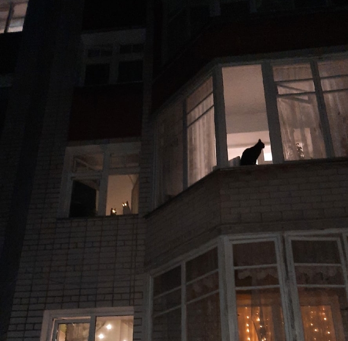 ��� ��������