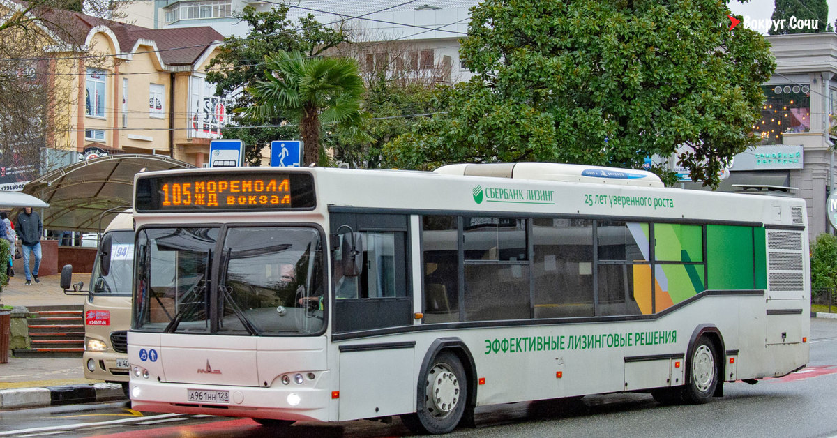 Транспорт сочи сайт. Сочинский автобус ЛИАЗ. Транспорт Сочи автовокзал 2022 автобусы. Автобус 551 Сочи. Городской транспорт Сочи.