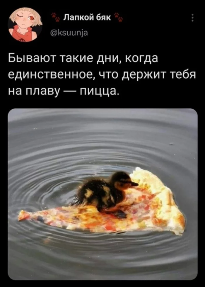 life saving pizza - From the network, Picture with text, Screenshot, Humor, Pizza, Ducklings