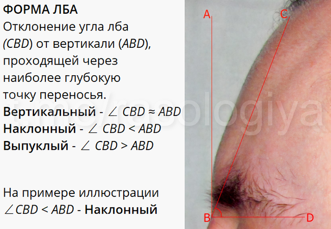 An Illustrative Example of Anthropometric Measurements - My, Racology, Anthropology, Racial studies, Anthropometry, Biometrics, Longpost