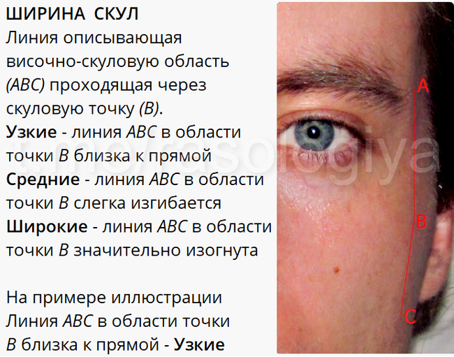 An Illustrative Example of Anthropometric Measurements - My, Racology, Anthropology, Racial studies, Anthropometry, Biometrics, Longpost