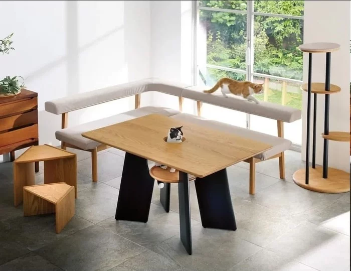 Comfort for your cat - cat, Table, Hole, Hole, Design, Furniture, Pets