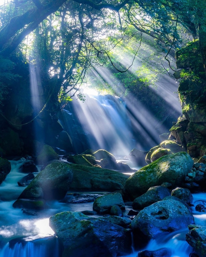 ��������� ����� ���-�� � ������� ���������� ��������