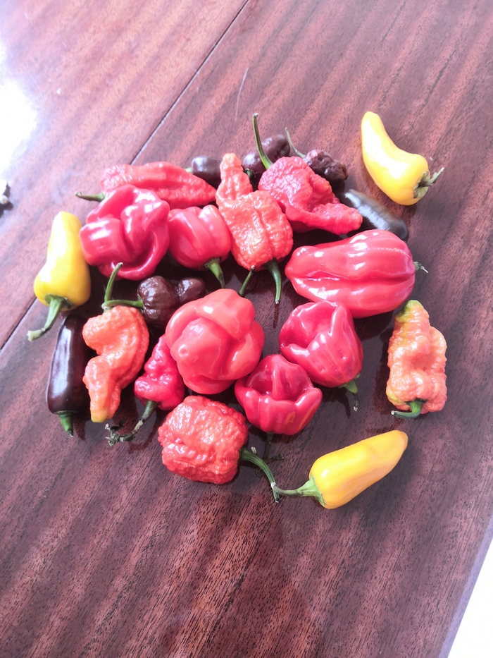 Помогите понять, что есть что