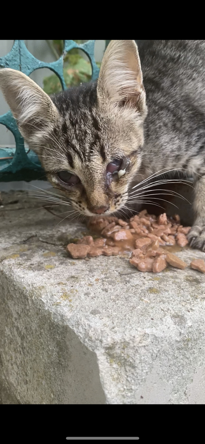 �������� � �������� ��������