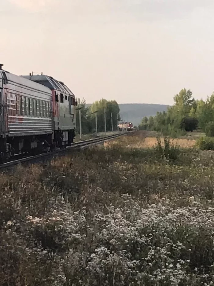 On August 18, a railway accident could have occurred in Russia - Russian Railways, Railway, It didn't happen, A train, Freight train, Head-on collision, Prevention, Vigilance, , Driver, Negative, Longpost, Dispatcher, Emergency, State of emergency