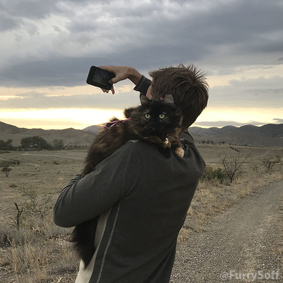 Муж и кошка, и моей любви множка-множка