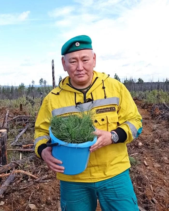 В Якутии появятся кедровые леса на месте лесных пожаров - Якутия, Экоград, Экология, Природа, Длиннопост