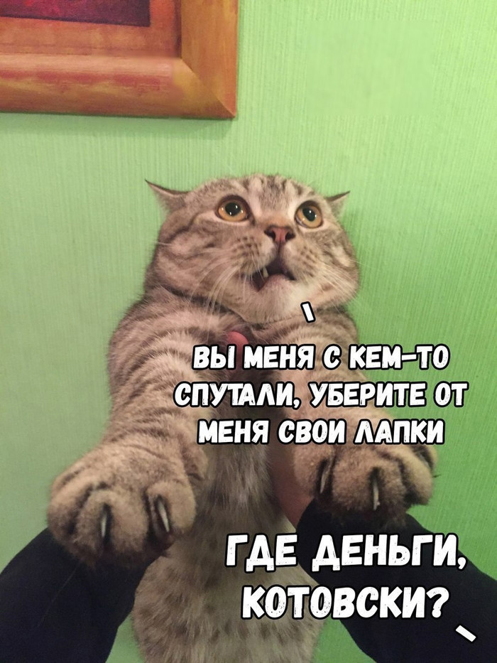       Cat_cat, , , , , , , Fail, 