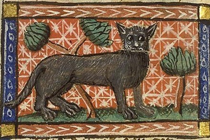 какое животное иногда судили в средневековой европе
