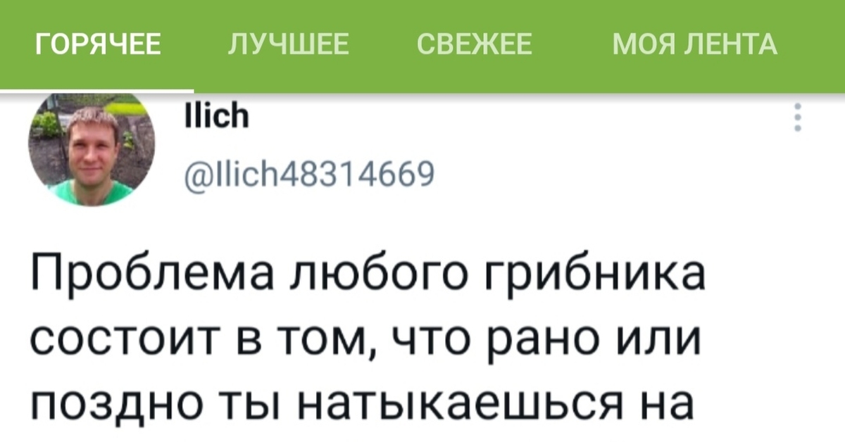 Алгоритмы - **итмы или сезон грибников открыт - Моё, Пикабу, Алгоритм, Грибники, Грибы, Черный юмор, Бред, Совпадение, Юмор