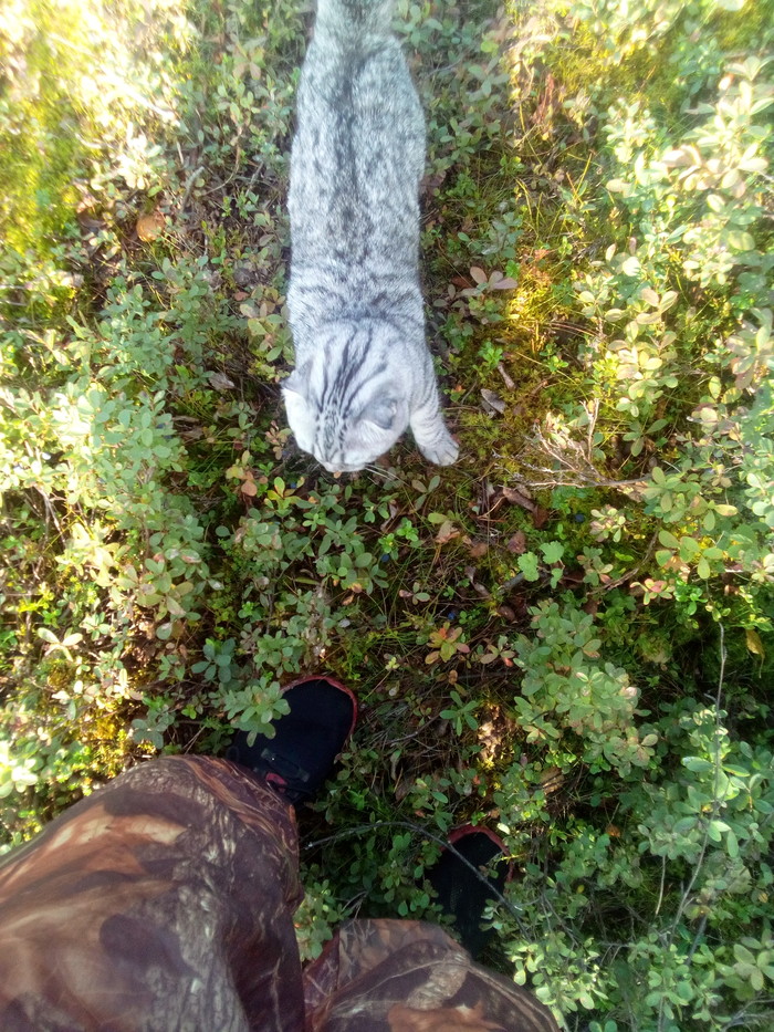  , ,  