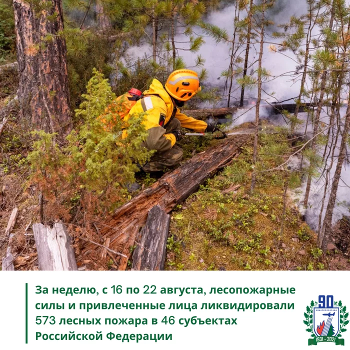 For a week, from August 16 to August 22, forest fire forces and involved persons liquidated 573 forest fires in 46 constituent entities of the Russian Federation - My, Forest fires, Forest, Nature