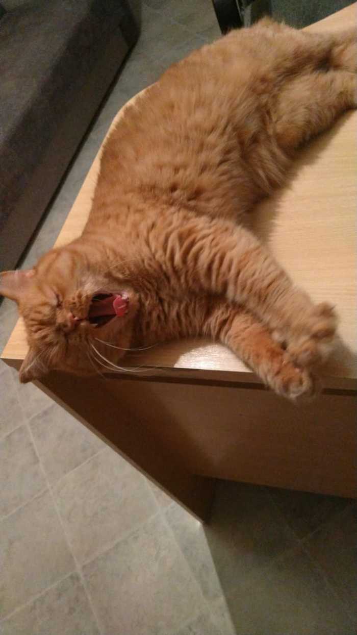 Вторничное