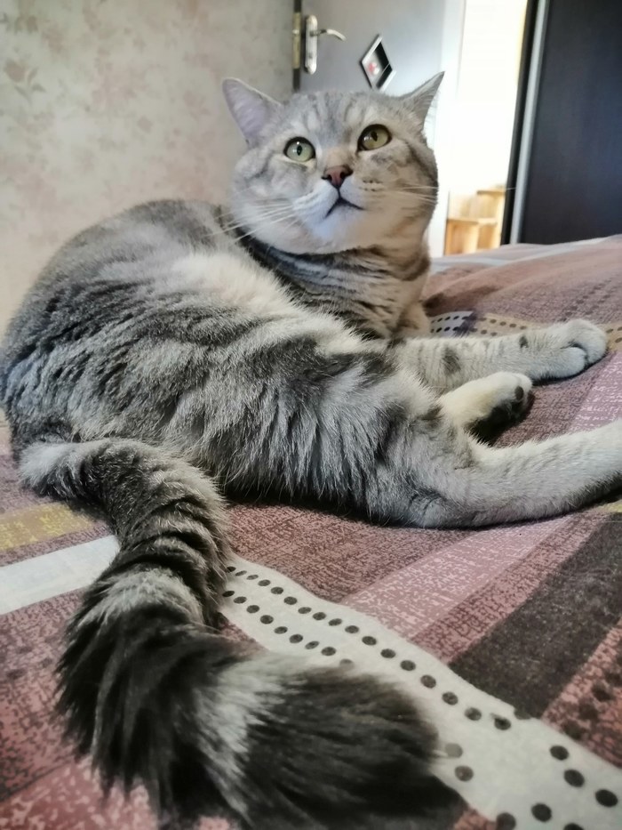      ,  , , 