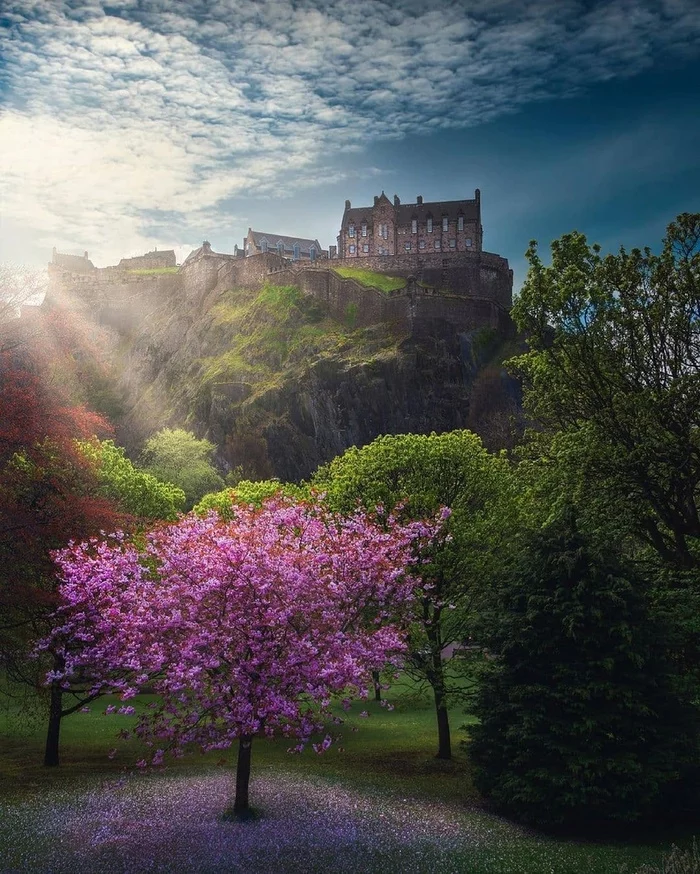 Edinburgh, Scotland - Edinburgh, Scotland, Town, Lock, The photo, Europe, Tree, beauty