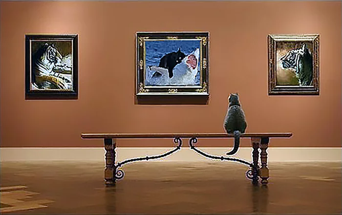 Modern Art - cat, Painting, Shark, Benches