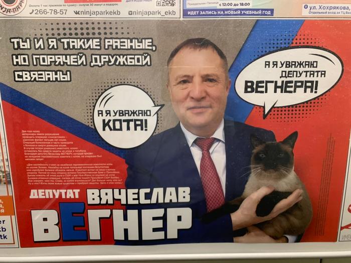 Election campaign - Elections, Politics, cat, Propaganda poster, Agitation, Deputy candidate