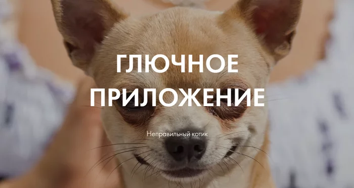 Котики и цифровизация бизнеса - Моё, Кот, Котята, Цифровизация, Цифровые технологии, Цифровая экономика, IT, IT юмор, Картинка с текстом, , Картинки, Юмор, Технологии, Информационные системы, Длиннопост