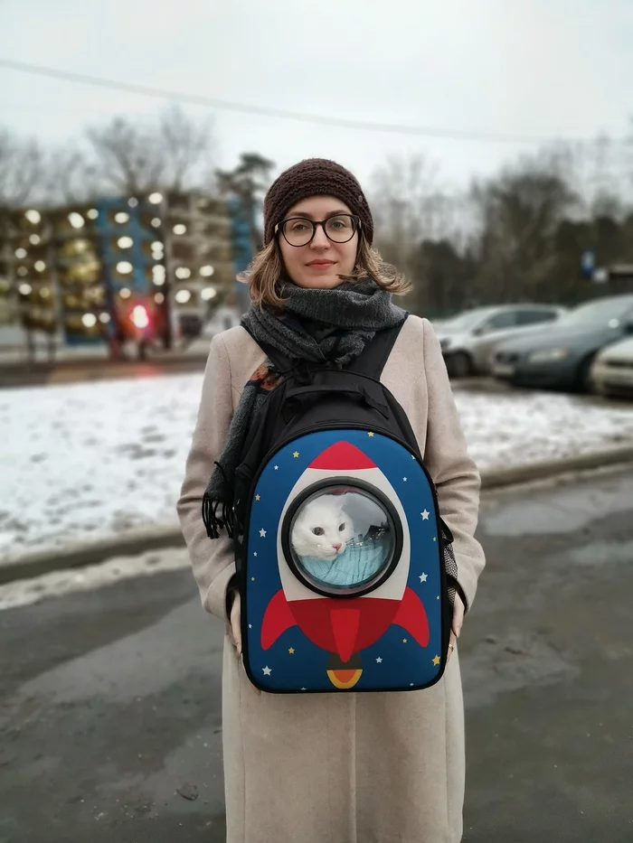 astronaut cat - My, cat, Космонавты, Backpack, Carrying, The photo