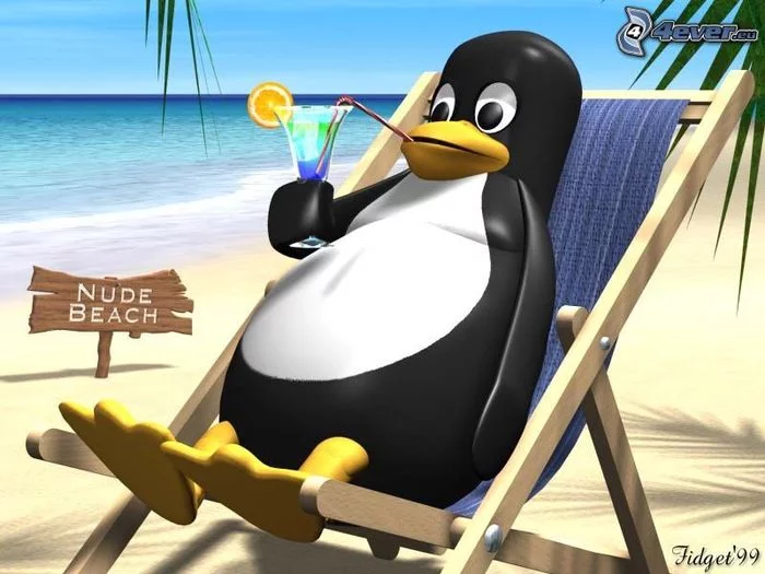 Glory to the penguins! Tomorrow is 30 years of linux - Linus Torvalds, Linux, Anniversary, Congratulation