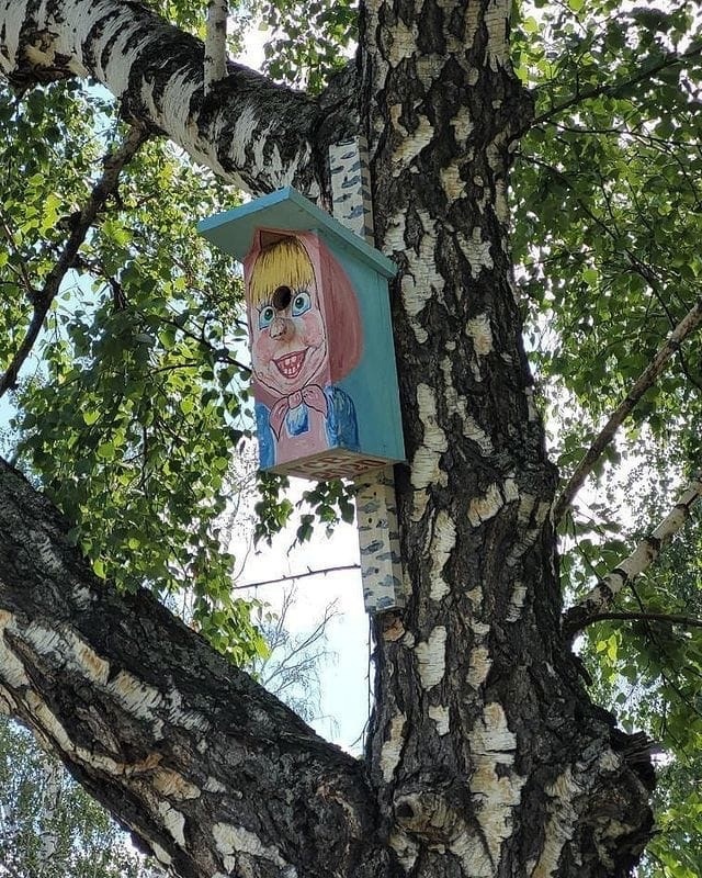 ZhEK art. - Housing and communal services, ZhEK, Masha and the Bear, Snipers, Birdhouse, Barnaul