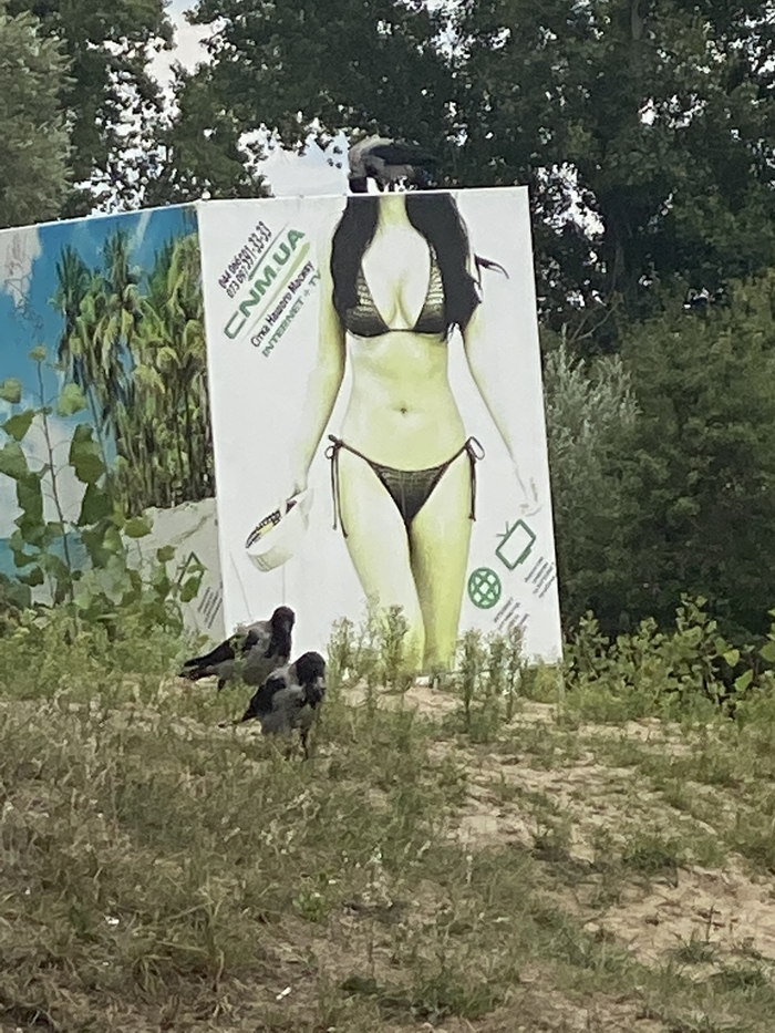 �� �� ��, ����� �������