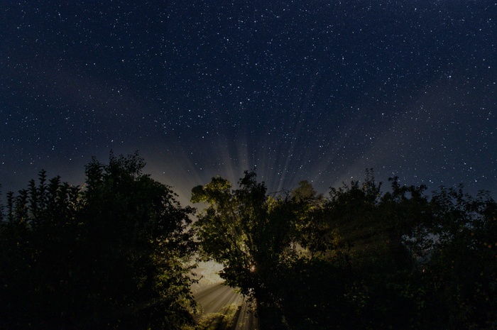 � ����� ������