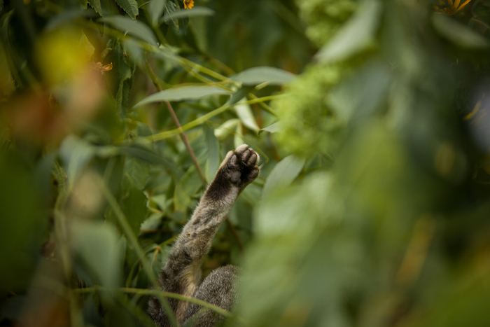 ���� ���� �� ������