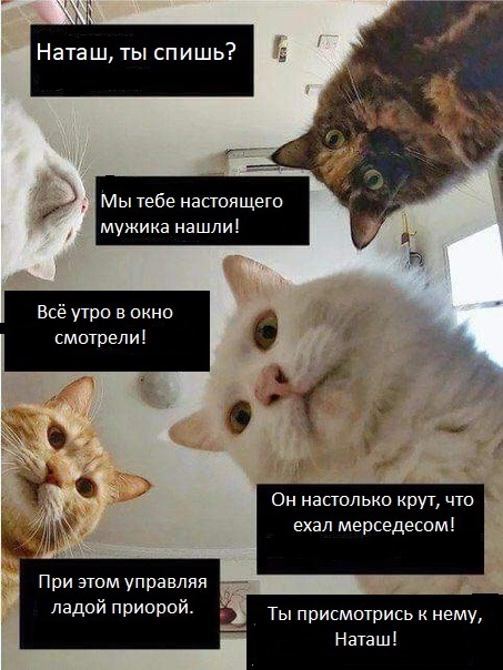   ...    , 