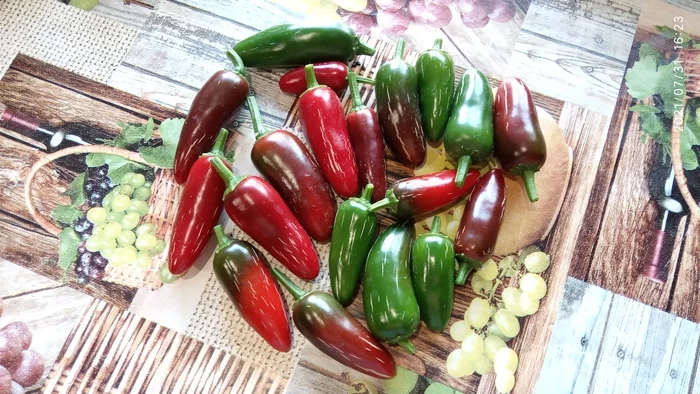 Mini Harvest! - My, Mobile photography, Hot peppers, Jalapeno