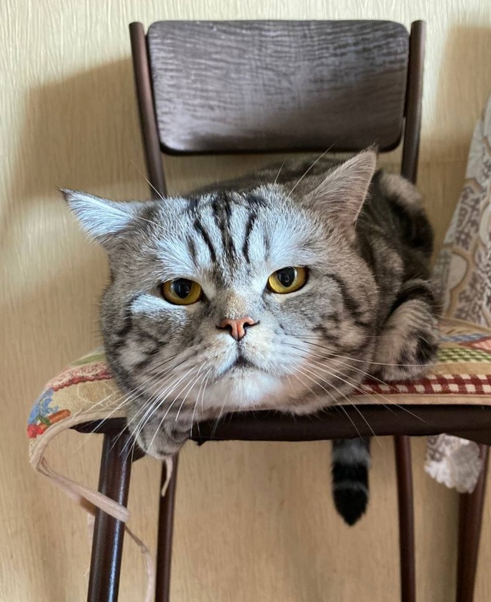 � ������ ���� �� ���� � �� ����� �����?!