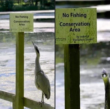 Я для вас шутка что ли??