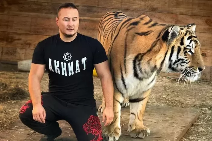 A former trainer opened a shelter for tigers near Novosibirsk - Tiger, Tiger cubs, Bengal tiger, Kim, Animal shelter, Animal Rescue, Animals, Novosibirsk, , Vertical video, Youtube, Video, Longpost