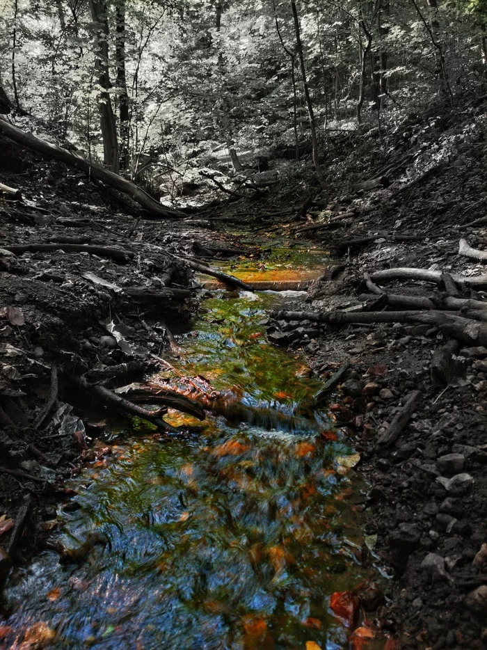 Just a stream - My, Black and white, Mobile photography, Water