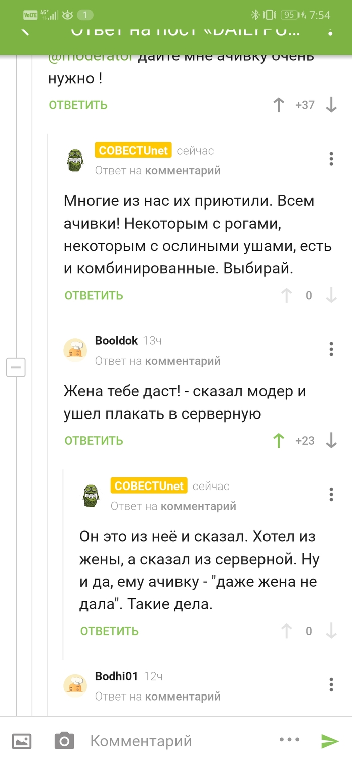  borillazzz  DAILYPURRR X PIKABU X STENOGRAFFIA