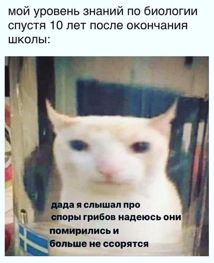   , , 