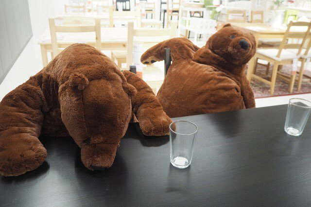 If the bear is drunk - The Bears, Humor, Soft toy, Milota, Plush, Alcoholics, Longpost