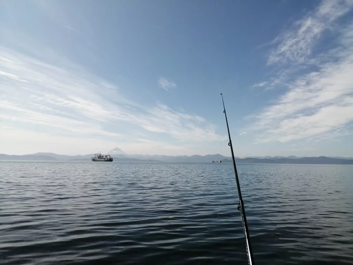 Serenity... - My, Petropavlovsk-Kamchatsky, Fishing, The photo