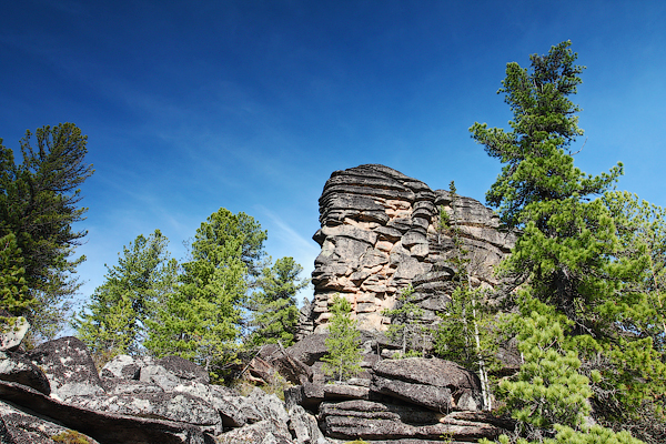 Yes, it crackles - My, The Bears, Taiga, Self defense, Wild animals, Forest, Rock climbers, Mountain tourism, Hiking, , Solo hike, Longpost