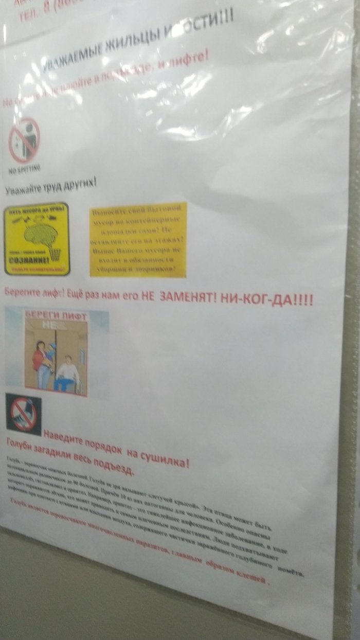 ������ ����� �� ����������