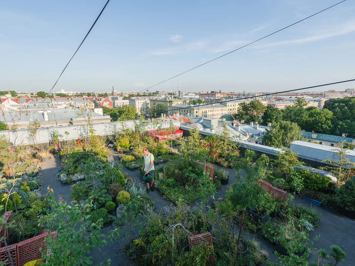 вот так сейчас выглядит. Смотреть фото вот так сейчас выглядит. Смотреть картинку вот так сейчас выглядит. Картинка про вот так сейчас выглядит. Фото вот так сейчас выглядит вот так сейчас выглядит. Смотреть фото вот так сейчас выглядит. Смотреть картинку вот так сейчас выглядит. Картинка про вот так сейчас выглядит. Фото вот так сейчас выглядит