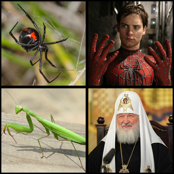 Теперь всё стало на свои места