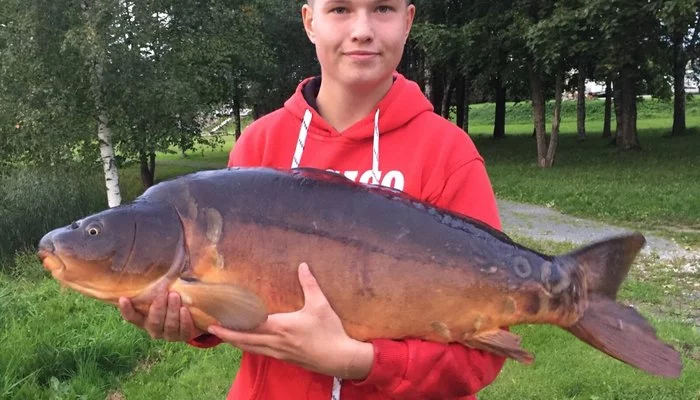 A schoolboy from Jarvamaa (Estonia) caught a carp weighing 18 kg and 96 cm long - Estonia, Fishing, A fish, Fishermen, Longpost