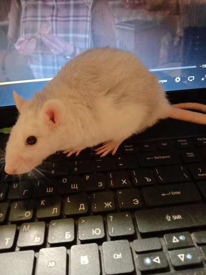 Пожалуйста, помогите советом