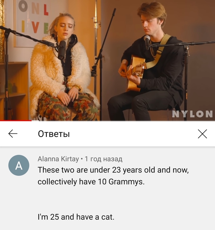 Я имею кота