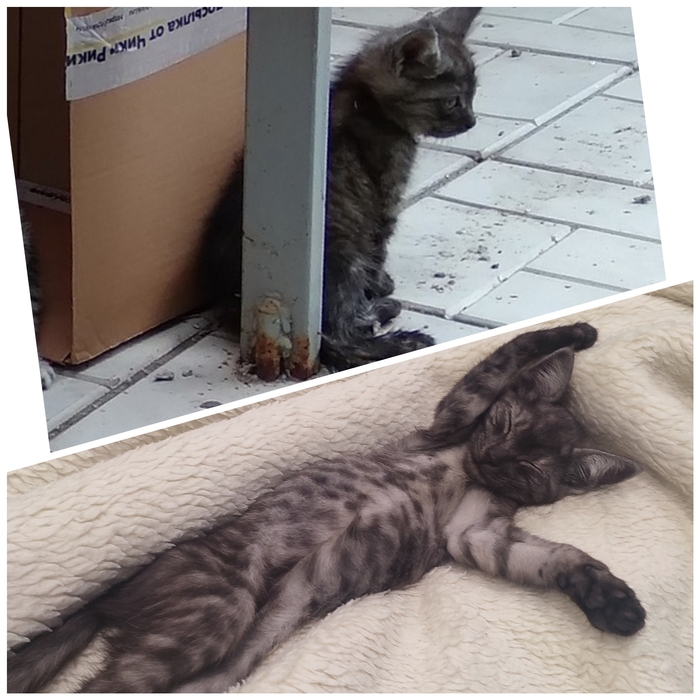 ������� ����� VS �������� �����