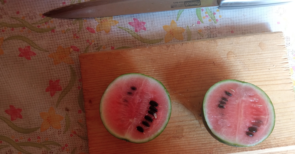 Арбузик | Пикабу