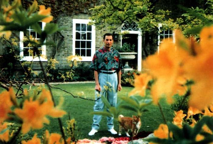 Exactly 30 years ago, one of the last known photos of Freddie Mercury was taken. - Freddie Mercury, Queen, cat, House, Garden, The photo, Celebrities